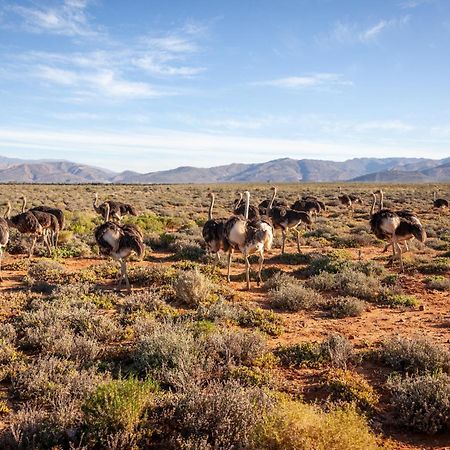 Inverdoorn Game Reserve Lodge Breede River المظهر الخارجي الصورة