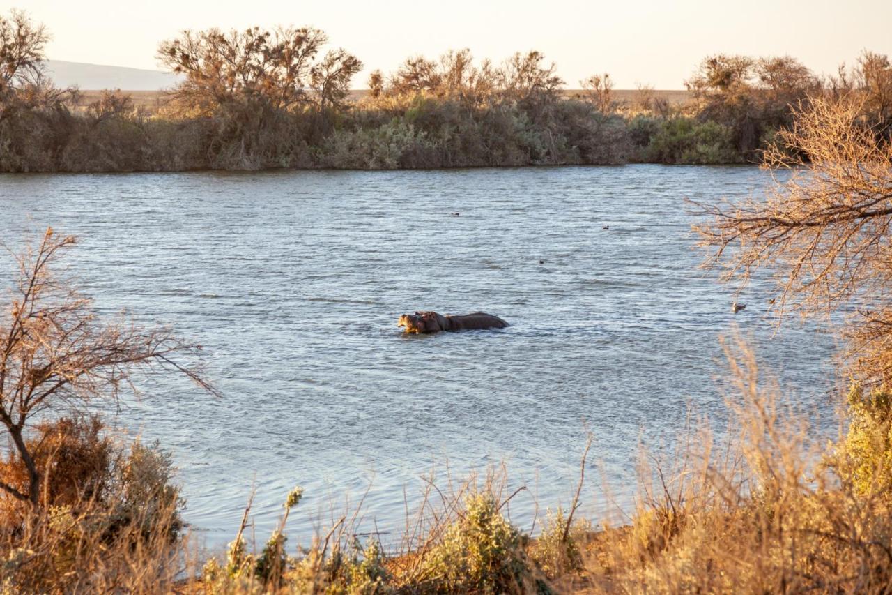 Inverdoorn Game Reserve Lodge Breede River المظهر الخارجي الصورة