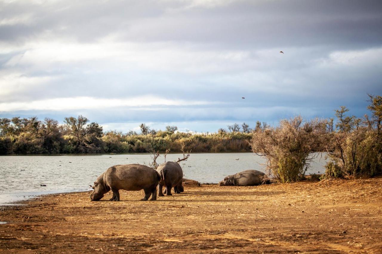 Inverdoorn Game Reserve Lodge Breede River المظهر الخارجي الصورة