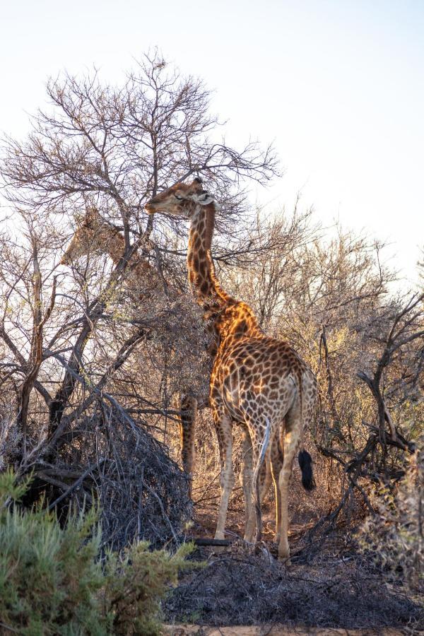 Inverdoorn Game Reserve Lodge Breede River المظهر الخارجي الصورة