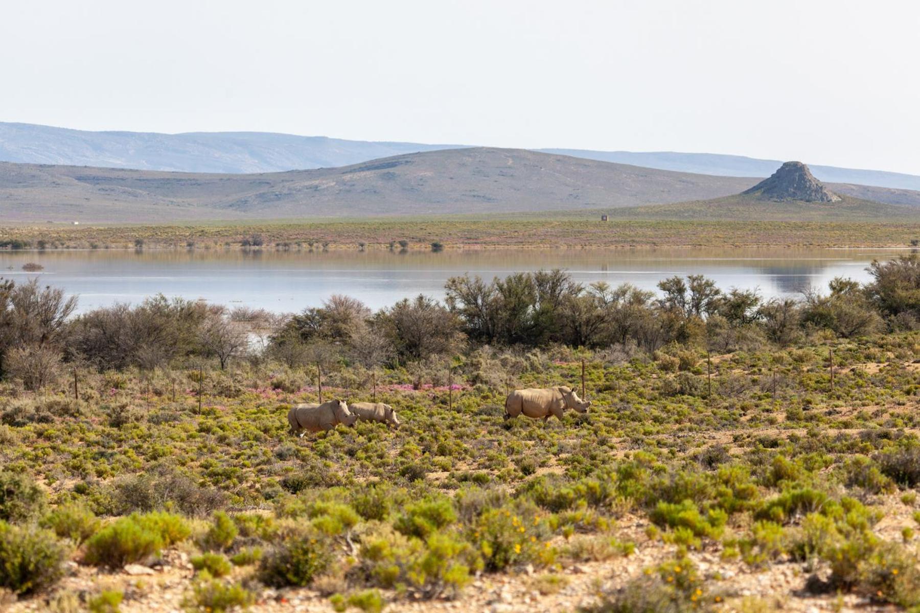 Inverdoorn Game Reserve Lodge Breede River المظهر الخارجي الصورة